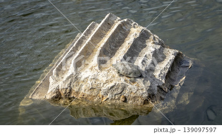 Turtle resting on an ancient stone column fragment submerged in water at Letoon Sacred Area, historic Lycian ruins near city of Xanthos, Mugla, Turkey 139097597