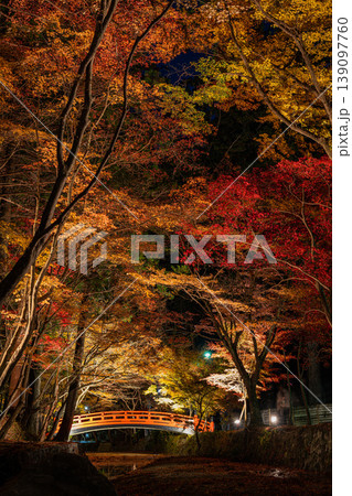 森町の遠江国一宮小國神社の紅葉の風景(静岡県) 139097760