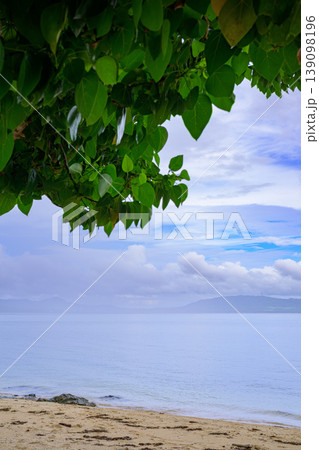 木陰越しに眺める崎枝南浜の穏やかな海景 石垣島 木陰越しに眺める崎枝南浜の穏やかな海景 石垣島 139098196
