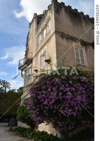 Blooming bougainvillea and vegetation in the park in front of the Busaco Palace in Portugal Coimbra region. Themes include travel, cultural heritage, and natural beauty. 139098269