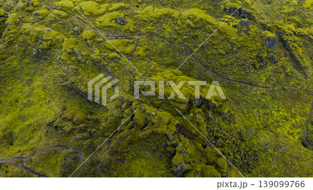 Aerial View of Moss Covered Volcanic Landscape in Iceland Aerial View of Moss Covered Volcanic Landscape in Iceland 139099766