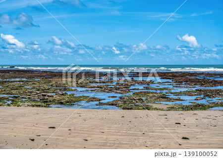 Beautiful beach of Flecheiras, Mundau, Brazil. 139100052
