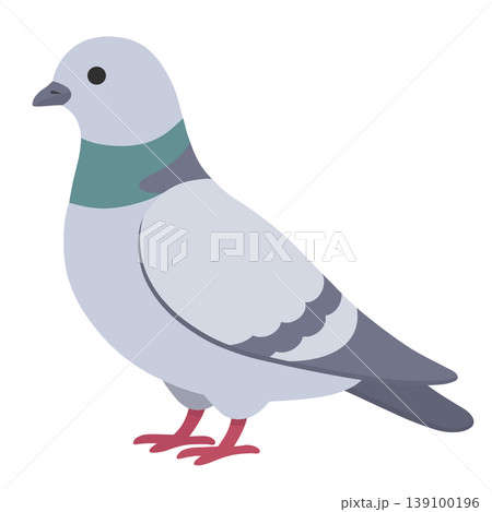鳩 鳩 139100196