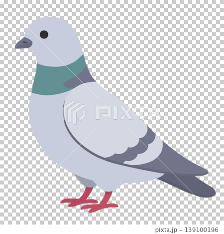 鳩 鳩 139100196