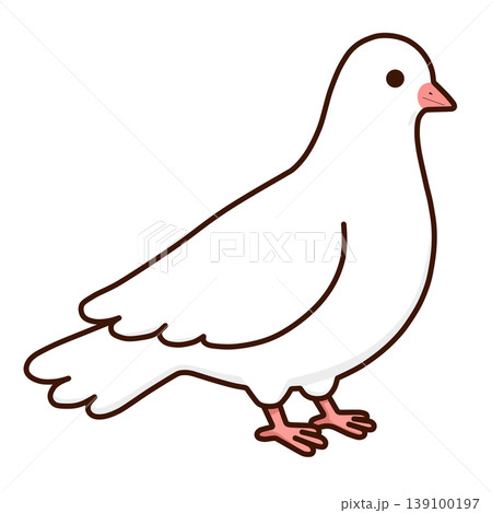 鳩 鳩 139100197