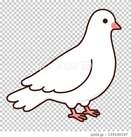 鳩 鳩 139100197