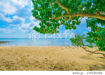 木陰越しに青い海が広がる石垣島大崎ビーチの夏風景 木陰越しに青い海が広がる石垣島大崎ビーチの夏風景 139100366