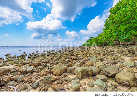青空と白い雲に彩られた石垣島大崎ビーチの岩場が続く海辺風景 青空と白い雲に彩られた石垣島大崎ビーチの岩場が続く海辺風景 139100370