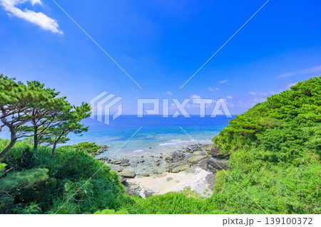 緑に包まれた入り江と青い海が美しい石垣島の夏風景 139100372
