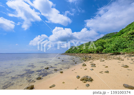 遠浅の海と青空が美しい石垣島大崎ビーチの穏やかな海辺風景 139100374