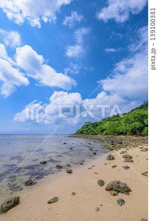 遠浅の海と青空が美しい石垣島大崎ビーチの穏やかな海辺風景 遠浅の海と青空が美しい石垣島大崎ビーチの穏やかな海辺風景 139100381