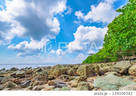青空と白い雲に彩られた石垣島大崎ビーチの岩場が続く海辺風景 青空と白い雲に彩られた石垣島大崎ビーチの岩場が続く海辺風景 139100382