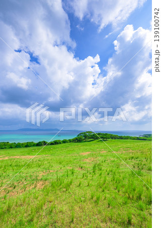 白い雲と青い海を望む石垣島の開放感あふれる草原風景 白い雲と青い海を望む石垣島の開放感あふれる草原風景 139100742