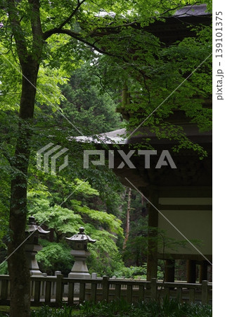 緑に包まれた寺院 緑に包まれた寺院 139101375