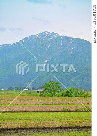 新緑の里と山の風景 八海山 棚田 八色の森公園付近からの眺め 新緑の里と山の風景 八海山 棚田 八色の森公園付近からの眺め 139101719