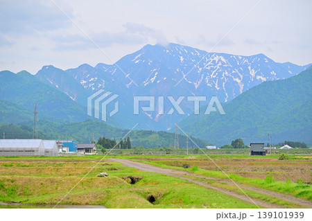 新緑の里と山の風景 越後駒ケ岳 棚田 八色の森公園付近からの眺め 新緑の里と山の風景 越後駒ケ岳 棚田 八色の森公園付近からの眺め 139101939
