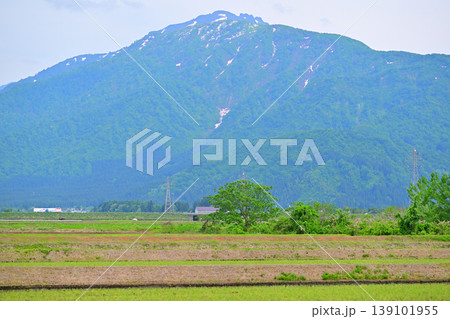 新緑の里と山の風景 八海山 棚田 八色の森公園付近からの眺め 新緑の里と山の風景 八海山 棚田 八色の森公園付近からの眺め 139101955