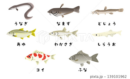 かわいい川や池のお魚イラストセット うなぎや鮎やわかさぎや鯉など かわいい川や池のお魚イラストセット うなぎや鮎やわかさぎや鯉など 139101962