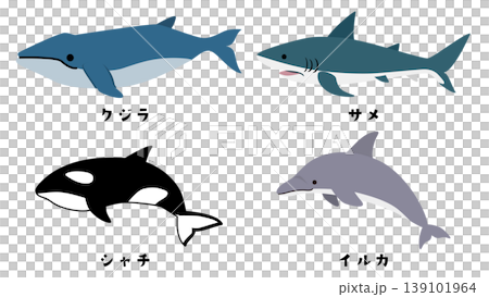 一組大型海洋生物的插圖：鯨魚、鯊魚、虎鯨和海豚。 139101964