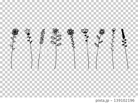 一組3幅簡單的手繪插圖,描繪了各種類型的單朵花(黑色)。 一組3幅簡單的手繪插圖,描繪了各種類型的單朵花(黑色)。 139102196