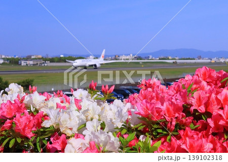 伊丹空港(兵庫県伊丹市)スカイパークに咲くツツジの花 伊丹空港(兵庫県伊丹市)スカイパークに咲くツツジの花 139102318