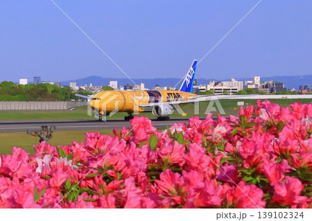 伊丹空港(兵庫県伊丹市)スカイパークに咲くツツジの花 伊丹空港(兵庫県伊丹市)スカイパークに咲くツツジの花 139102324