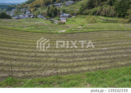 春の山村風景　奈良県高市郡明日香村 139102339