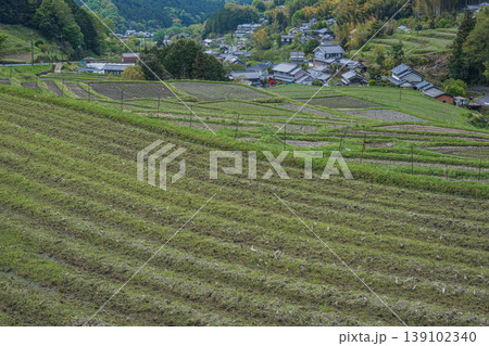春の山村風景 奈良県高市郡明日香村 春の山村風景 奈良県高市郡明日香村 139102340
