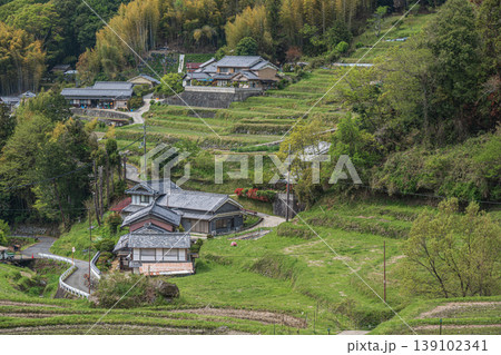 春の山村風景 奈良県高市郡明日香村 春の山村風景 奈良県高市郡明日香村 139102341