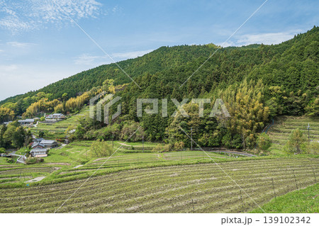 春の山村風景 奈良県高市郡明日香村 春の山村風景 奈良県高市郡明日香村 139102342