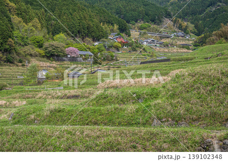 春の山村風景 奈良県高市郡明日香村 春の山村風景 奈良県高市郡明日香村 139102348