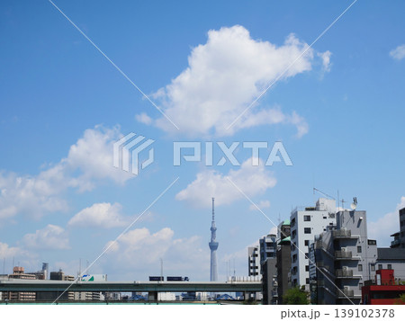 永代橋から見るスカイツリーの風景|東京都中央区 永代橋から見るスカイツリーの風景|東京都中央区 139102378