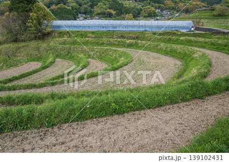 春の山村風景 奈良県高市郡明日香村 春の山村風景 奈良県高市郡明日香村 139102431