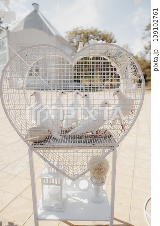 White Doves Inside Heartshaped Cage Perched On Wooden Perch, Sunlit Terrace Casting Mesh Shadows, Delicate Bow And Ornamental Flowers On Vintage Metal Stand, Soft Pastel Tones Creating 139102761
