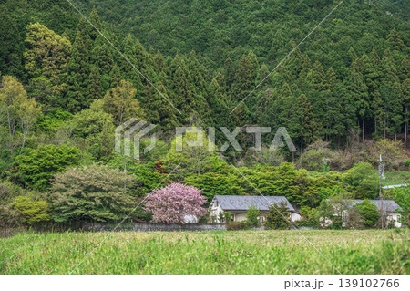春の山村風景　奈良県高市郡明日香村 139102766