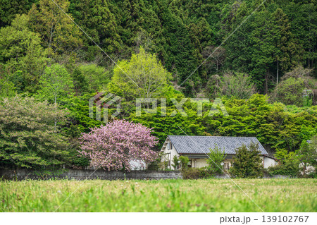 春の山村風景 奈良県高市郡明日香村 春の山村風景 奈良県高市郡明日香村 139102767