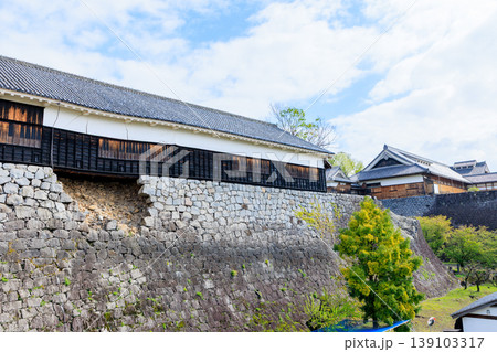 春の熊本城　熊本県熊本市 139103317