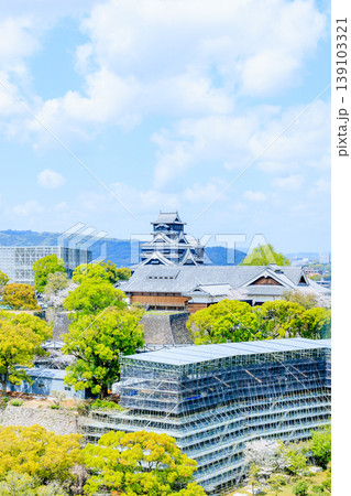 春の熊本城　熊本県熊本市 139103321