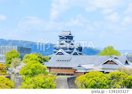春の熊本城　熊本県熊本市 139103327