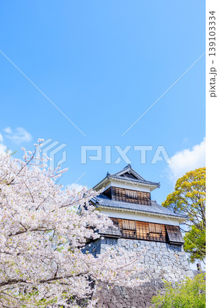 春の熊本城と桜　未申櫓　熊本県熊本市 139103334