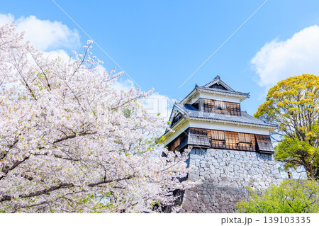 春の熊本城と桜 未申櫓 熊本県熊本市 春の熊本城と桜 未申櫓 熊本県熊本市 139103335