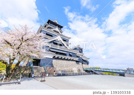 春の熊本城と桜　熊本県熊本市 139103338
