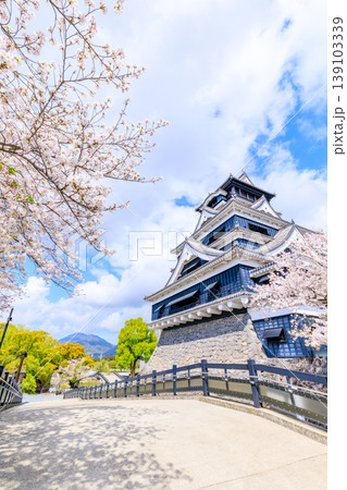 春の熊本城と桜 熊本県熊本市 春の熊本城と桜 熊本県熊本市 139103339