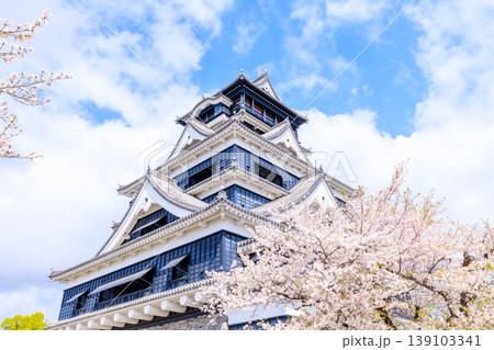 春の熊本城と桜 熊本県熊本市 春の熊本城と桜 熊本県熊本市 139103341