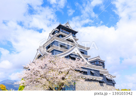 春の熊本城と桜 熊本県熊本市 春の熊本城と桜 熊本県熊本市 139103342