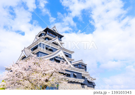 春の熊本城と桜 熊本県熊本市 春の熊本城と桜 熊本県熊本市 139103343