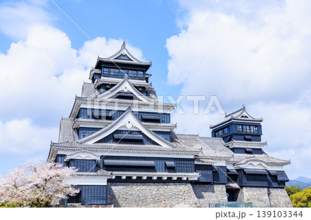 春の熊本城と桜 熊本県熊本市 春の熊本城と桜 熊本県熊本市 139103344