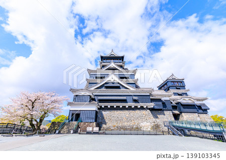 春の熊本城と桜　熊本県熊本市 139103345