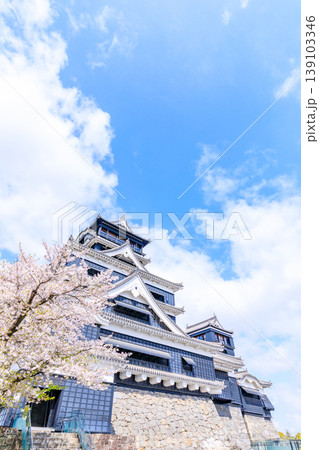 春の熊本城と桜　熊本県熊本市 139103346