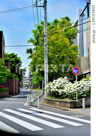 東京都渋谷区 代々木上原駅周辺 閑静な高級住宅街 東京都渋谷区 代々木上原駅周辺 閑静な高級住宅街 139103605
